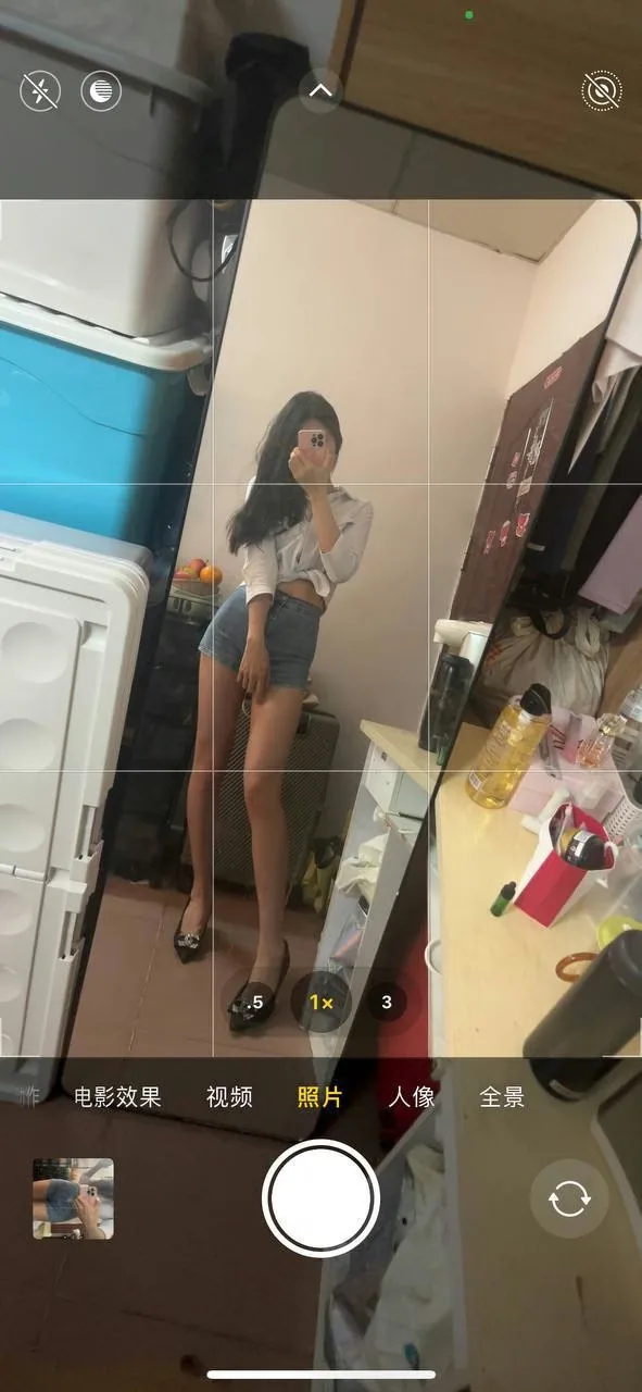 #龙华 #小乳猪 #深圳 图片 3